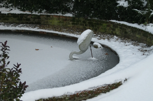 STORK with head in the Ice JGJames