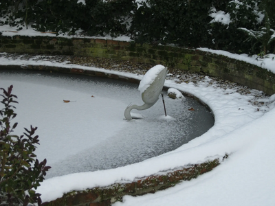 STORK with head in the Ice JGJames